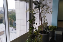 Аренда и продажа офиса в Бизнес-центр Новоданиловский дом